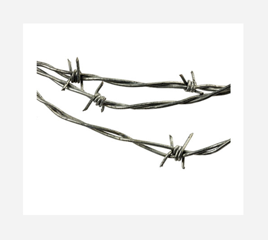 Barbed-Wire